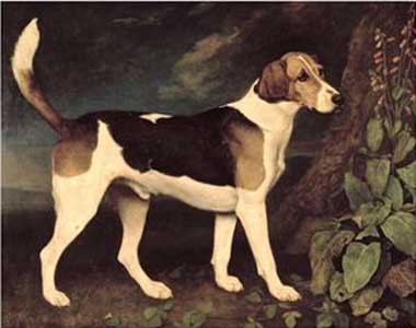 Stubbs dog sale paintings